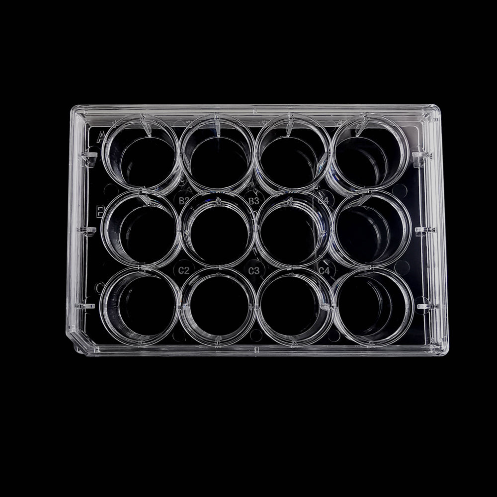 6/12/24/48/96 Well Culture Plate TC Treated Sterile CE/FDA Certified