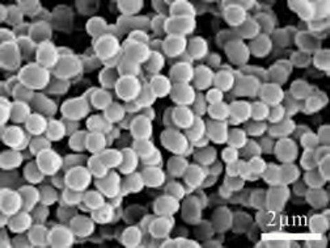 Boron Nitride Nano Fibers BN Series for Engineering Material Sample Sale freeshipping - NodesSmartTools