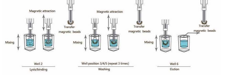 nE16 Nucleic Acid Extractor Pre-order Only