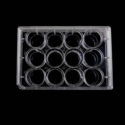6/12/24/48/96 Well Culture Plate TC Treated Sterile CE/FDA Certified