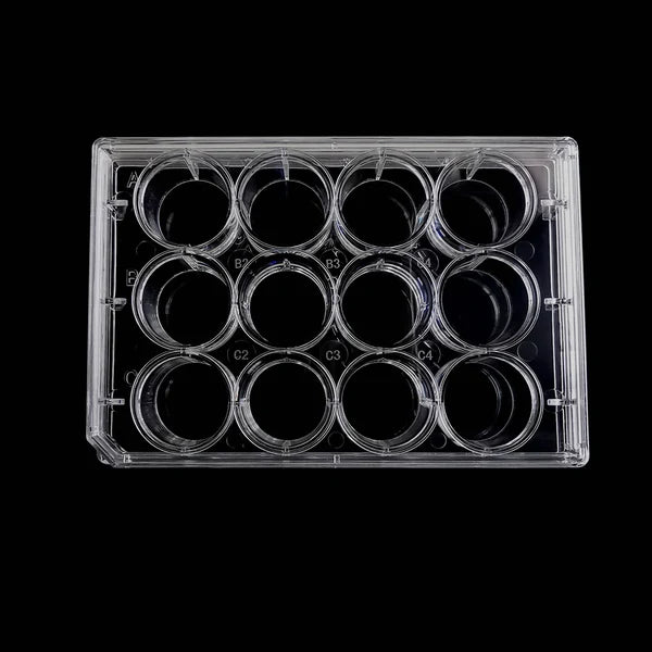 ⚡6/12/24/48/96 Well Culture Plate TC Treated Sterile CE/FDA Certified