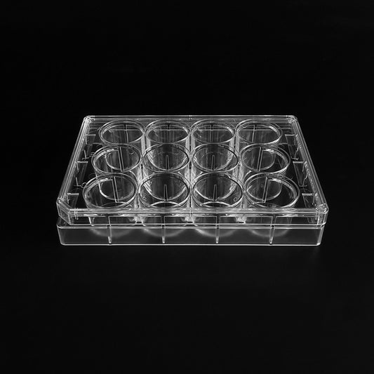 6/12/24/48/96 Well Culture Plate TC Treated Sterile CE/FDA Certified