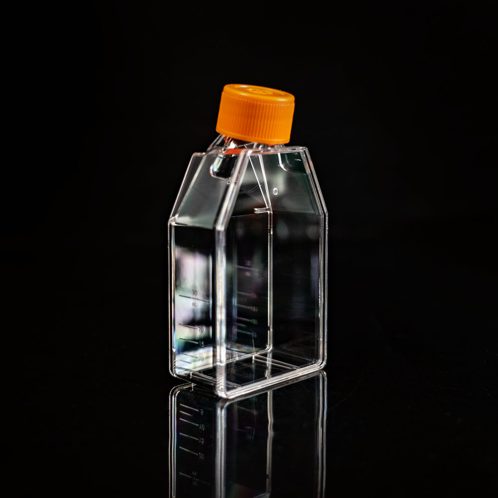 Cell Culture Flask-T Series 25/75/175 TC Treated