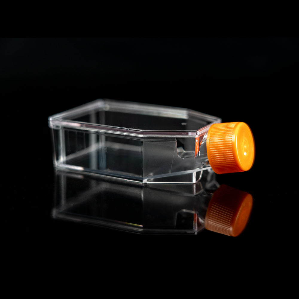 Cell Culture Flask-T Series 25/75/175 TC Treated