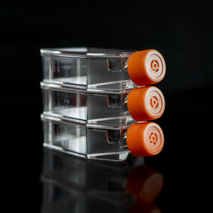 Cell Culture Flask-T Series 25/75/175 TC Treated