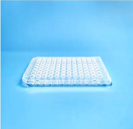 96-Well PCR Plate Clear Universal Fit Enzyme Free - Hot Sale