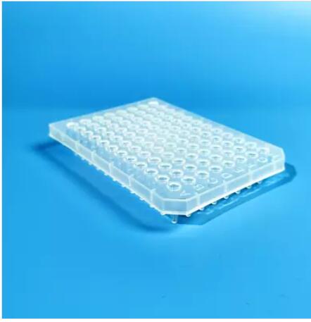 96-Well PCR Plate Clear Universal Fit Enzyme Free - Hot Sale