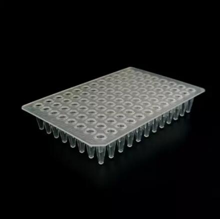 96-Well PCR Plate Clear Universal Fit Enzyme Free - Hot Sale