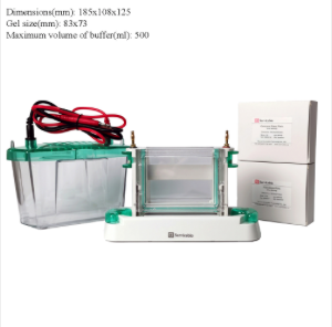 WB Electrophoresis System Vertical & Horizontal for DNA/RNA Samples Hot Sale