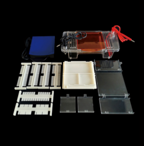 WB Electrophoresis System Vertical & Horizontal for DNA/RNA Samples Hot Sale