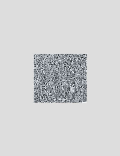 Hydrophobic and Hydrophilic PVDF Membrane freeshipping - NodesSmartTools