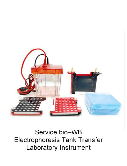 WB Electrophoresis Tank