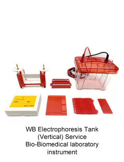 WB Electrophoresis Tank