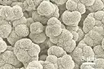 Boron Nitride Nano Fibers BN Series for Engineering Material Sample Sale freeshipping - NodesSmartTools