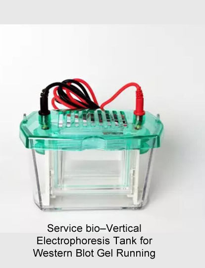 WB Electrophoresis Tank